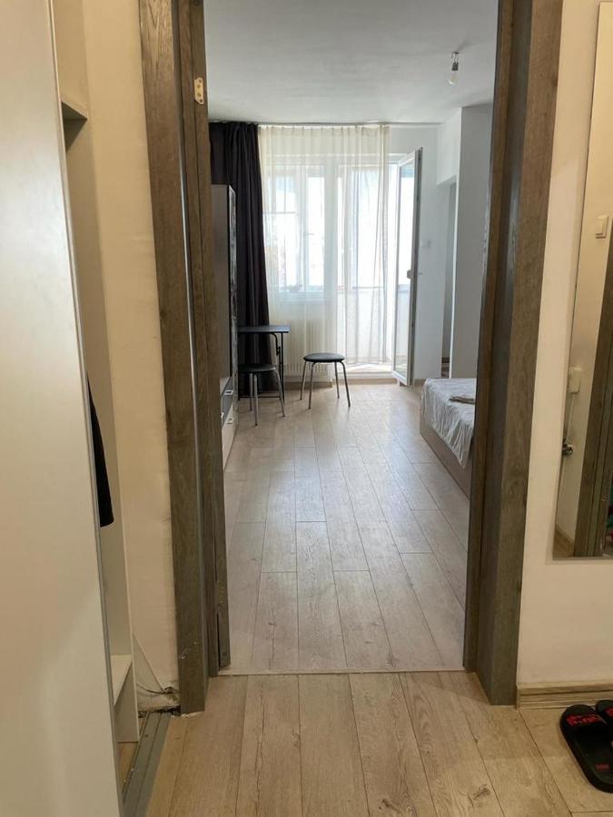 Bega Cirumvalatiunii One Room Apartment- 4 Timişoara Exterior foto